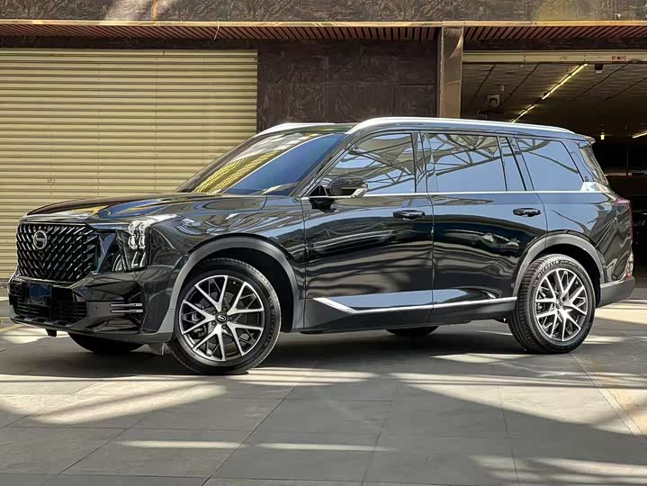 GAC Trumpchi GS8 2025 2025款 领航系列 2.0TGDI 两驱豪华版 5座