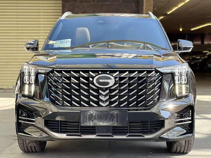 GAC Trumpchi GS8 2025 2025款 领航系列 2.0TGDI 两驱豪华版 5座