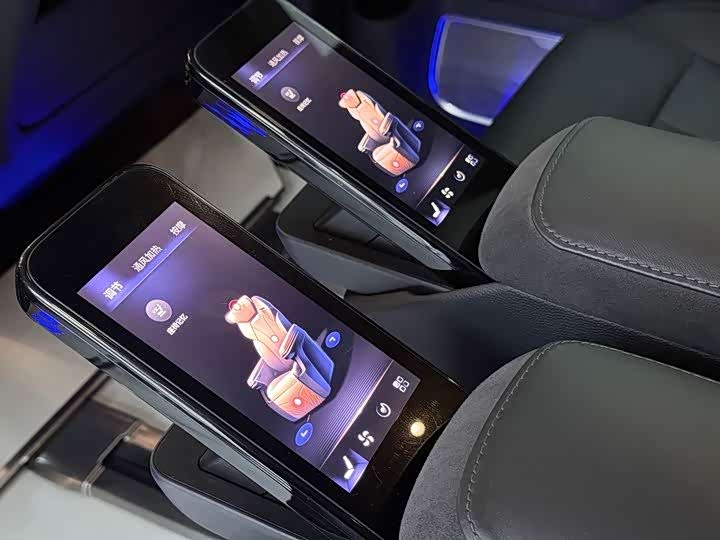 Hongqi HQ9 Hybrid 2024 2024款 2.0T 四驱商务版