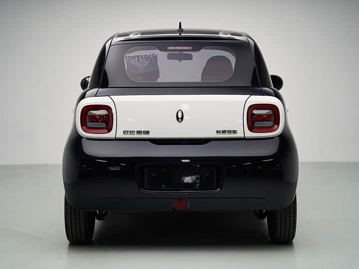 Ora Black Cat 2022 2022款 301km 萌宠版 磷酸铁锂