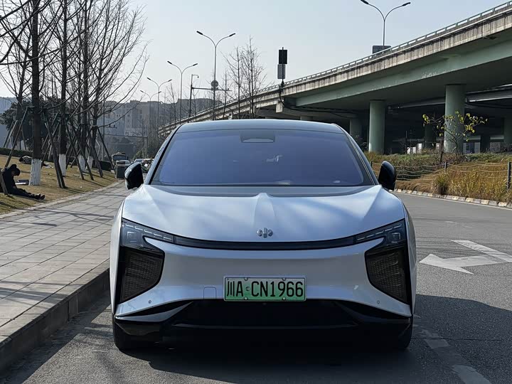 HiPhi X 2021 2021款 豪华版6座