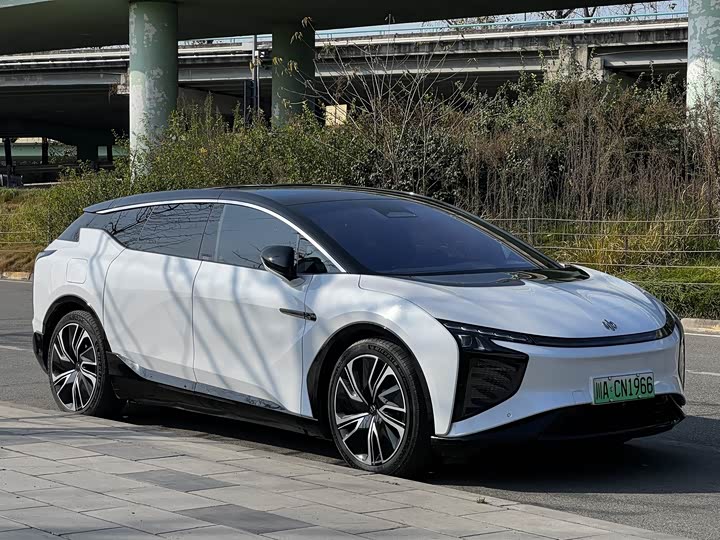 HiPhi X 2021 2021款 豪华版6座