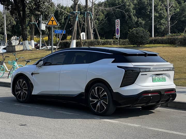 HiPhi X 2021 2021款 豪华版6座