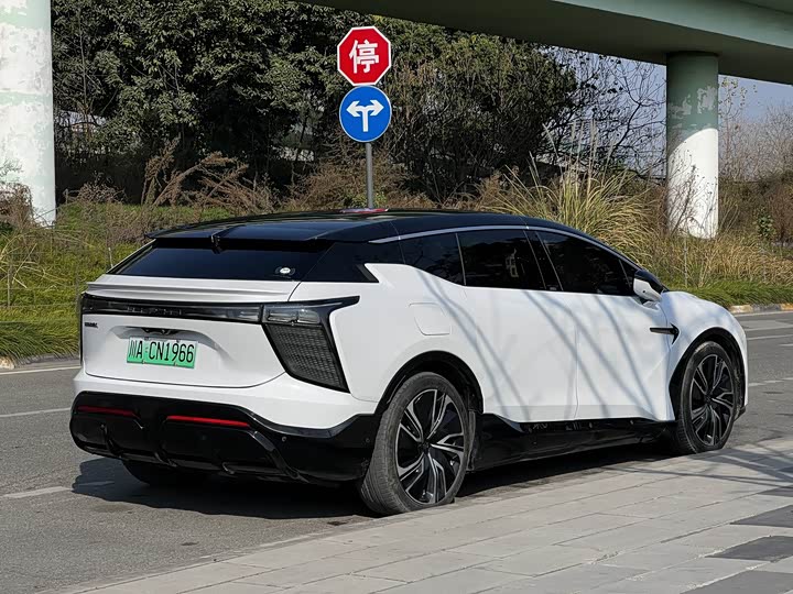 HiPhi X 2021 2021款 豪华版6座