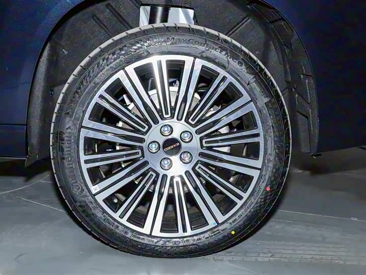 Exeed VX C-DM Hybrid 2025 2025款 180 超长续航Ultra四驱 6座