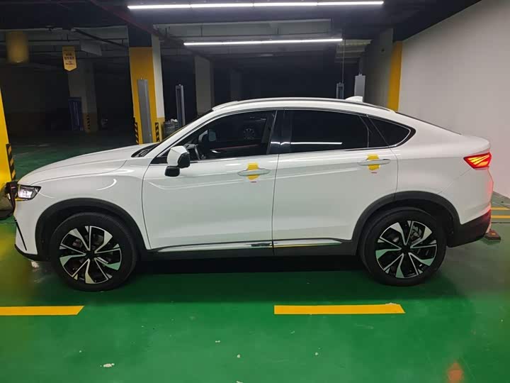 Geely Tugella S 2021 2021款 2.0TD DCT两驱闪电版