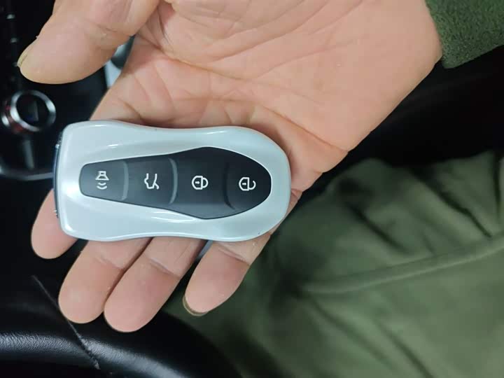 Geely Tugella S 2021 2021款 2.0TD DCT两驱闪电版