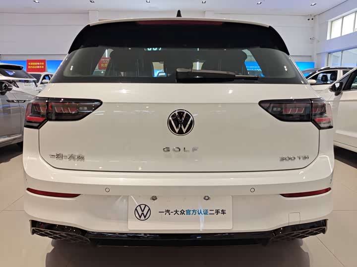 Volkswagen Golf 2025 2025款 300TSI R-Line