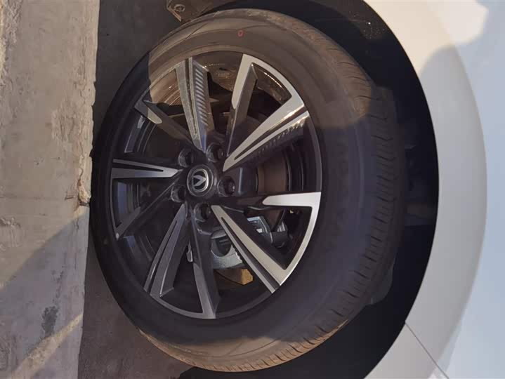 Changan Eado Plus 2025 2025款 蓝鲸 1.5T 500Bar尊贵型