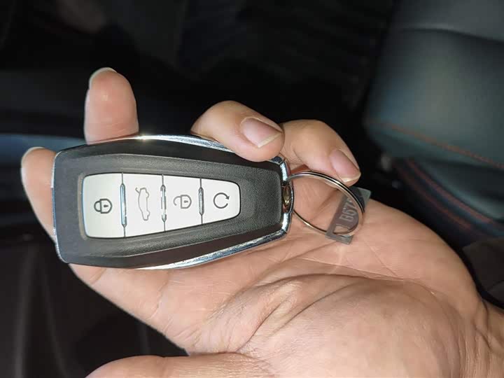 Geely Atlas 2024 2024款 1.5TD 智尊版