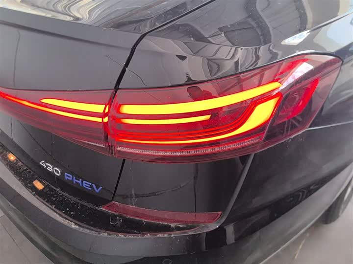 Volkswagen Passat Hybrid 2025 2025款 430PHEV 混动商务版