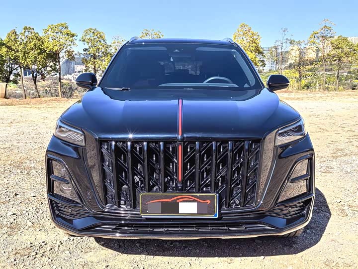 Hongqi HS5 2025 2025款 2.0T 两驱玄影版