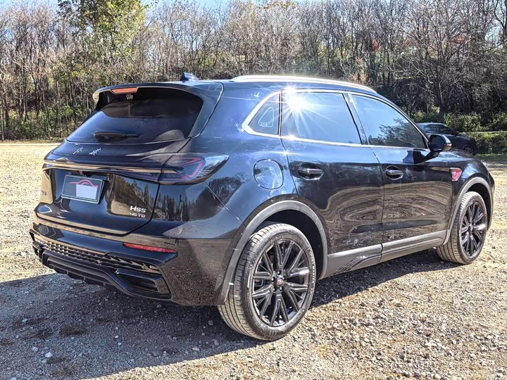 Hongqi HS5 2025 2025款 2.0T 两驱玄影版