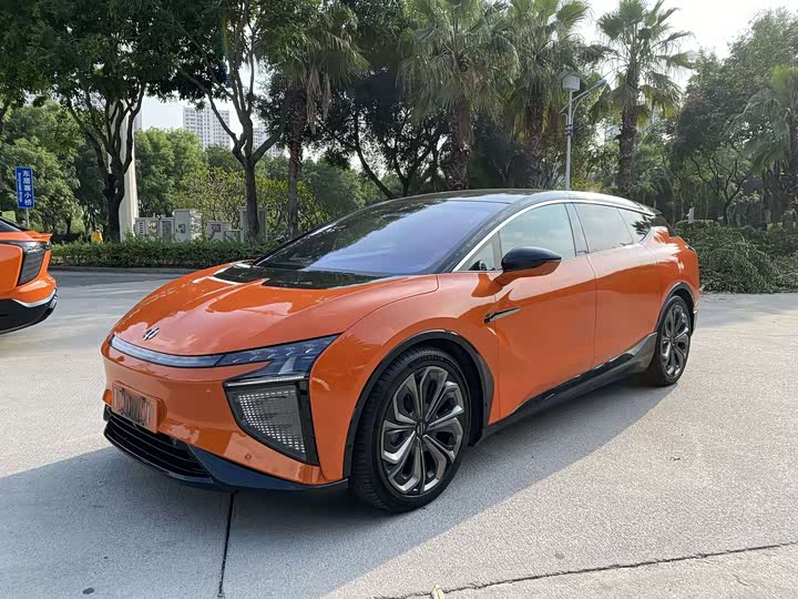 HiPhi X 2021 2021款 豪华版6座