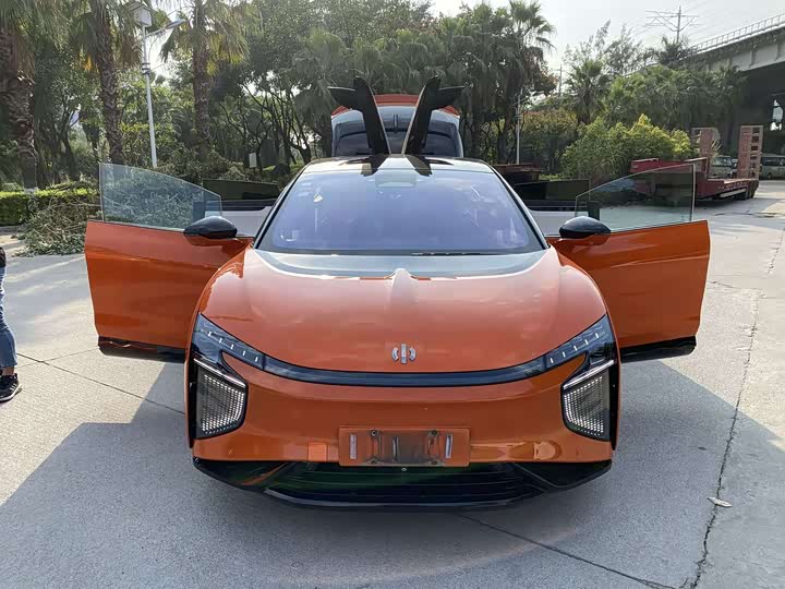 HiPhi X 2021 2021款 豪华版6座