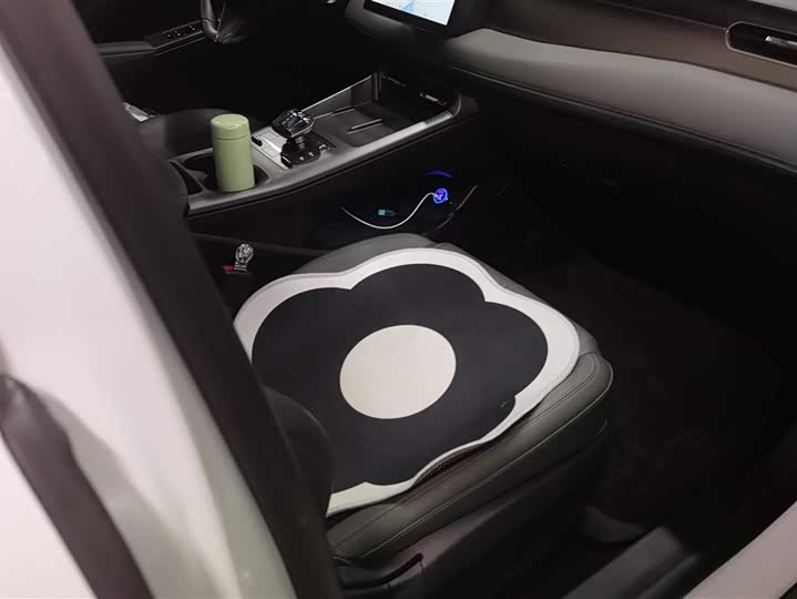 BYD Qin Plus 2025 2025款 DM-i 智驾版 55KM领先型