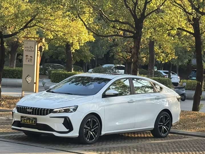 2024 Geely Binrui