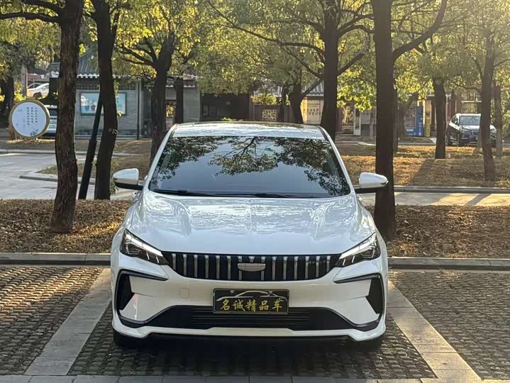 2024 Geely Binrui