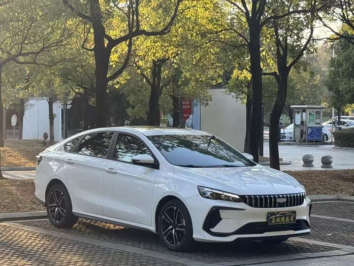 2024 Geely Binrui