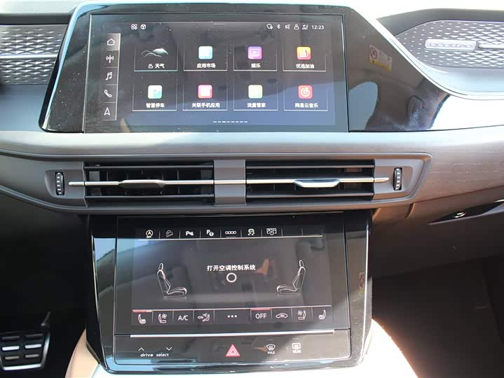 Audi Q6 2024 2024款 45 TFSI quattro 齐云型 羽林套装 6座