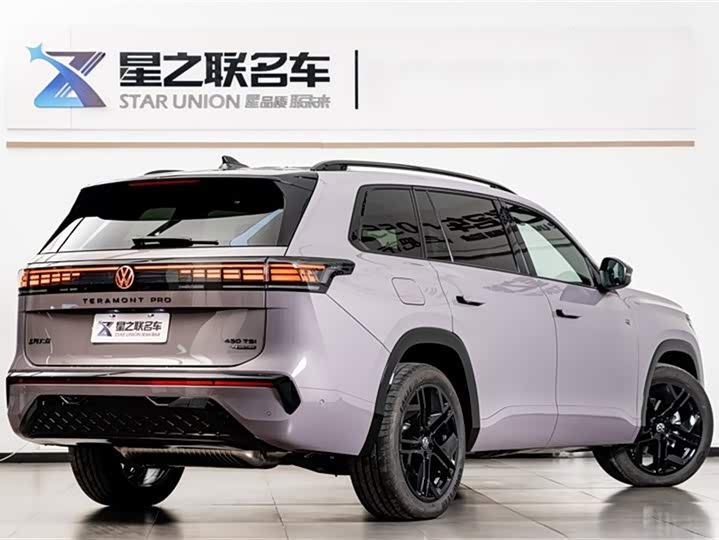 Volkswagen Teramont Pro 2025 2025款 途昂 Pro 450TSI 四驱登峰版