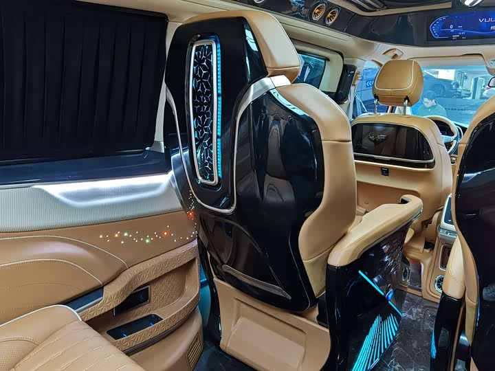 Mercedes-Benz V-Class 2022 2022款 V 260 L 长轴距豪华版