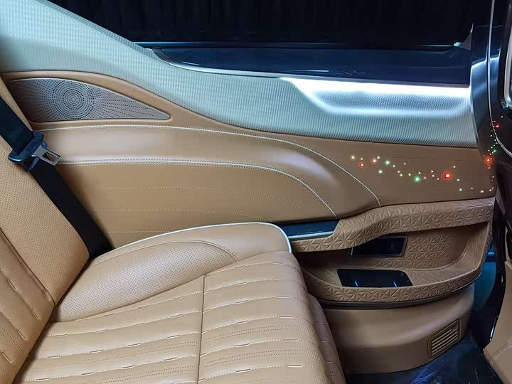 Mercedes-Benz V-Class 2022 2022款 V 260 L 长轴距豪华版