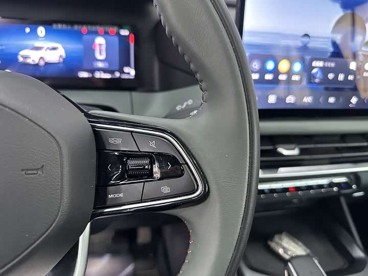 Geely Okavango L 2024 2024款 2.0T DCT尊贵型