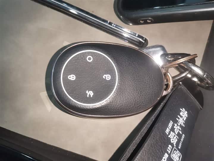 GAC Aion V 2024 2024款 埃安霸王龙 520 智享版