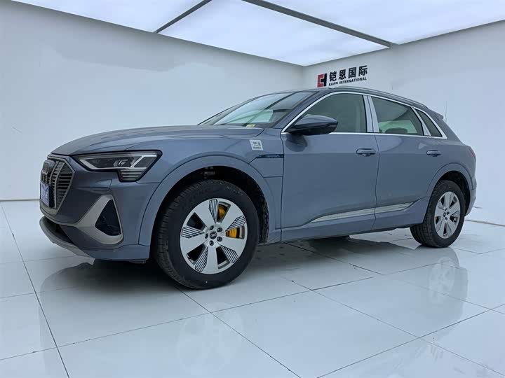 Audi e-tron 2021 2021款 50 quattro 豪华型