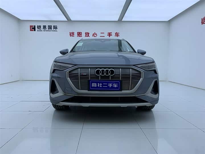 Audi e-tron 2021 2021款 50 quattro 豪华型