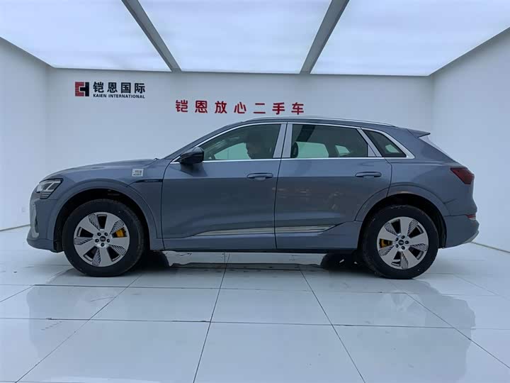 Audi e-tron 2021 2021款 50 quattro 豪华型