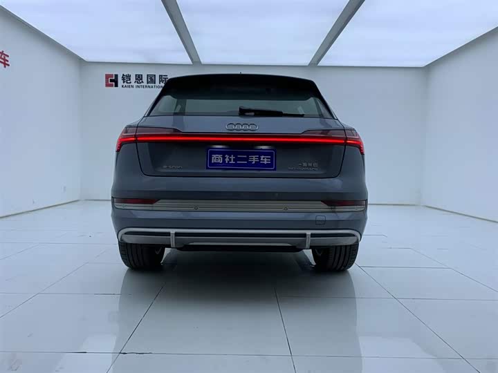 Audi e-tron 2021 2021款 50 quattro 豪华型