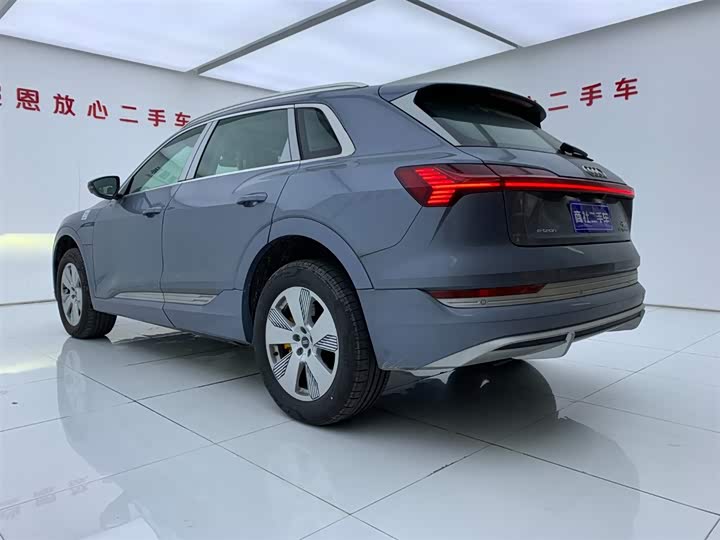 Audi e-tron 2021 2021款 50 quattro 豪华型