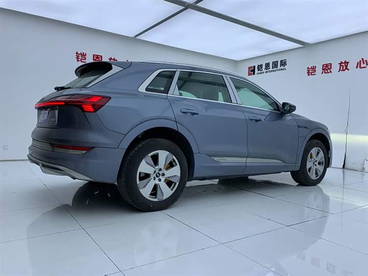 Audi e-tron 2021 2021款 50 quattro 豪华型