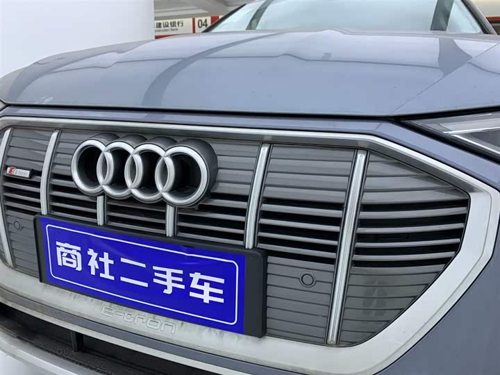 Audi e-tron 2021 2021款 50 quattro 豪华型