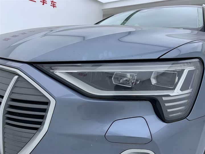 Audi e-tron 2021 2021款 50 quattro 豪华型