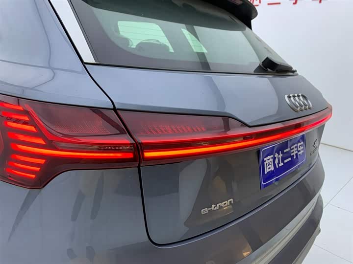 Audi e-tron 2021 2021款 50 quattro 豪华型