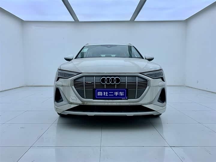 Audi e-tron 2021 2021款 50 quattro 豪华型