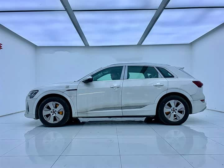 Audi e-tron 2021 2021款 50 quattro 豪华型