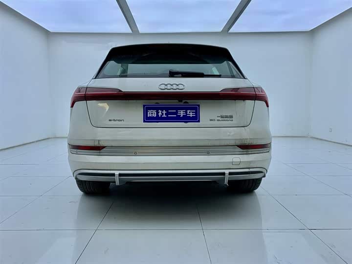 Audi e-tron 2021 2021款 50 quattro 豪华型