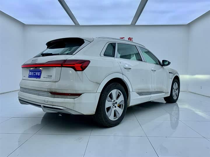 Audi e-tron 2021 2021款 50 quattro 豪华型