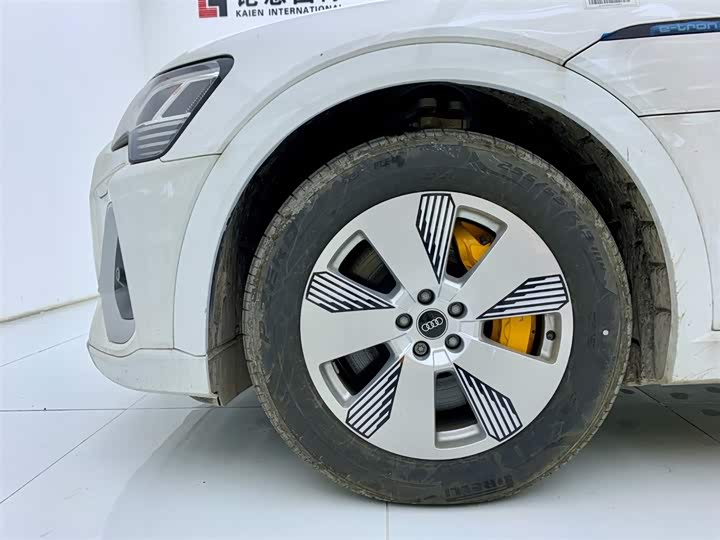 Audi e-tron 2021 2021款 50 quattro 豪华型