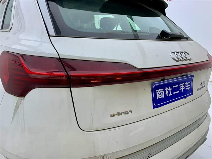 Audi e-tron 2021 2021款 50 quattro 豪华型