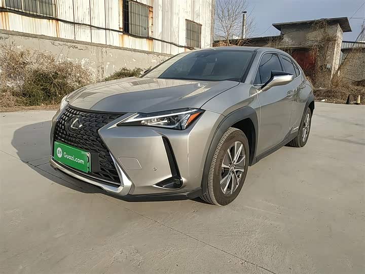 Lexus UX Hybrid 2020 2020款 300e 纯·悦版
