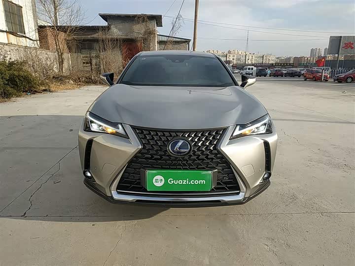 Lexus UX Hybrid 2020 2020款 300e 纯·悦版