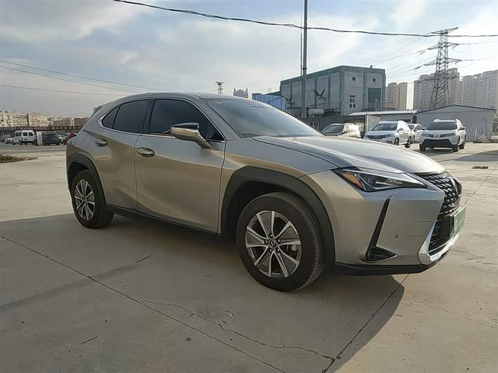 Lexus UX Hybrid 2020 2020款 300e 纯·悦版
