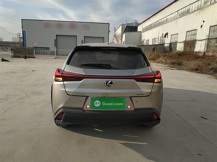 Lexus UX Hybrid 2020 2020款 300e 纯·悦版