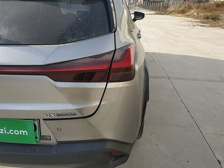 Lexus UX Hybrid 2020 2020款 300e 纯·悦版