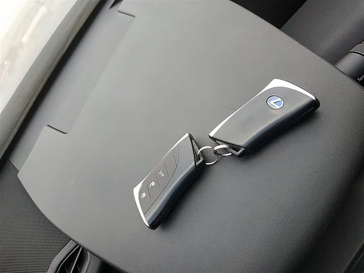 Lexus UX Hybrid 2020 2020款 300e 纯·悦版